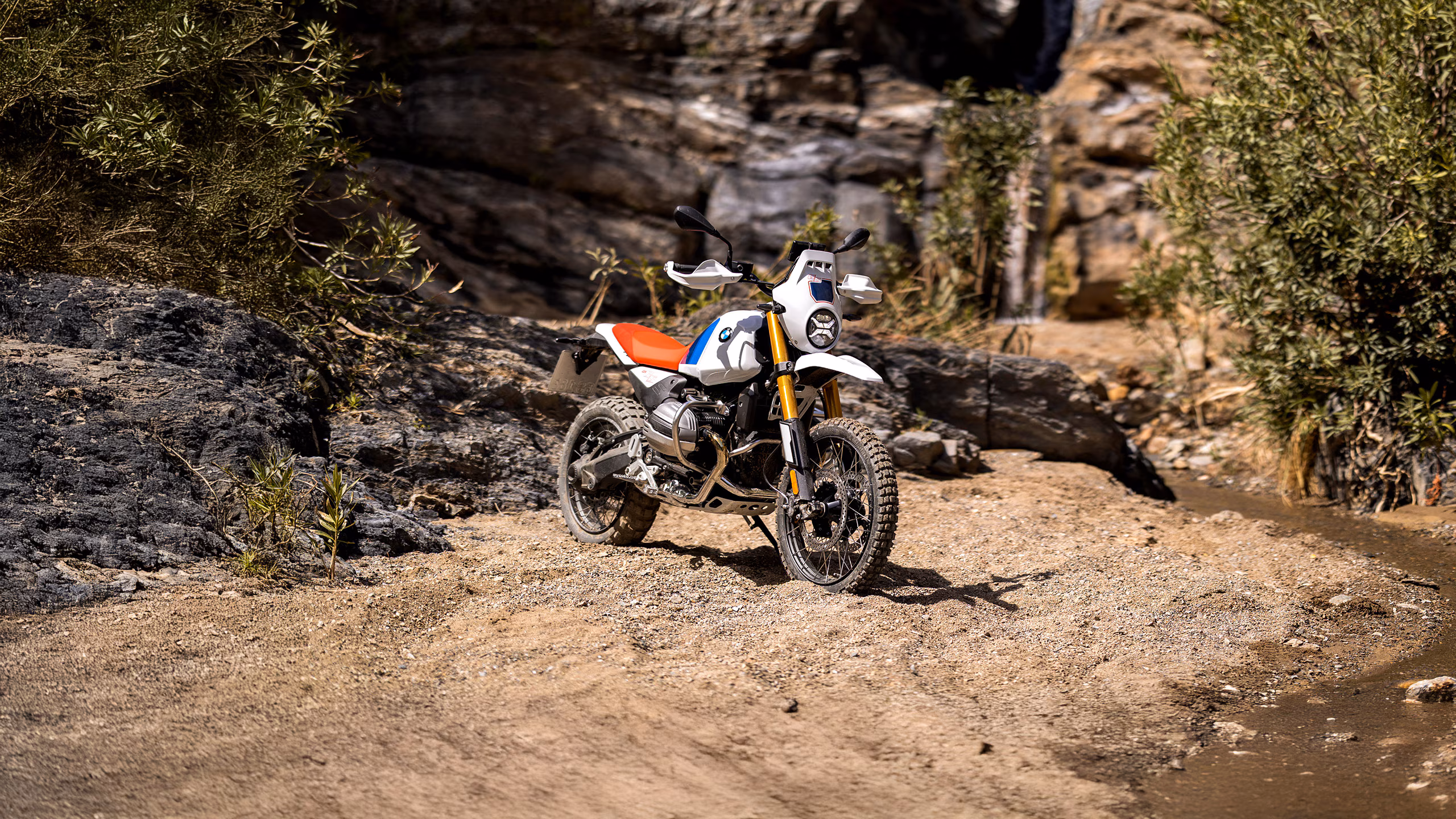 2025 BMW R 12 in Livermore, California